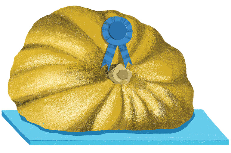 Illustration of a pumpkin with a blue ribbon on it.