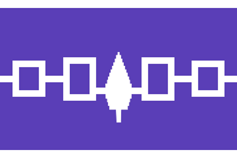 Drapeau de la confédération iroquoise