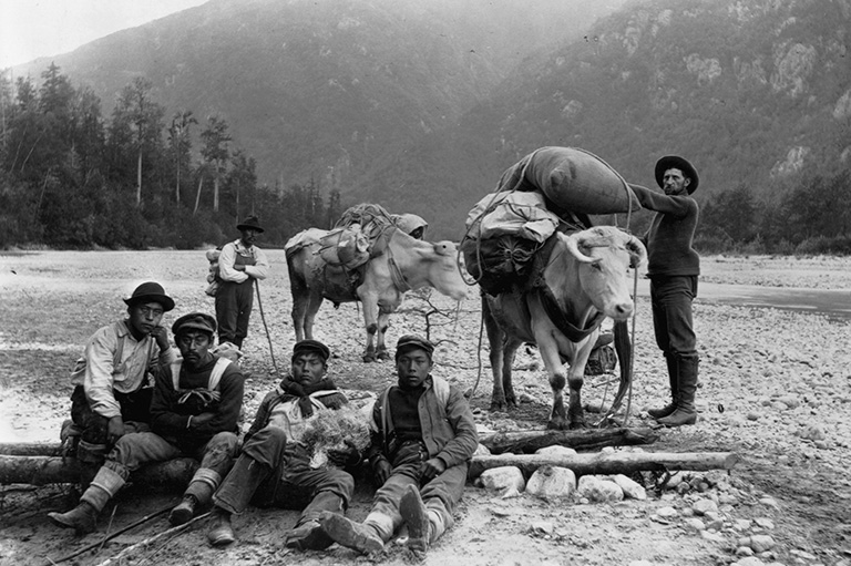 Black and white photo showing four men sitting on a log staring at the camera and two men in the background fixing cargo onto two oxen.